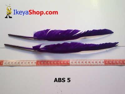 bulu angsa besar ABS 5   feather  large2